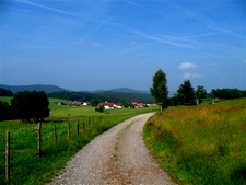 Forsthaus-Falkenau-Weg