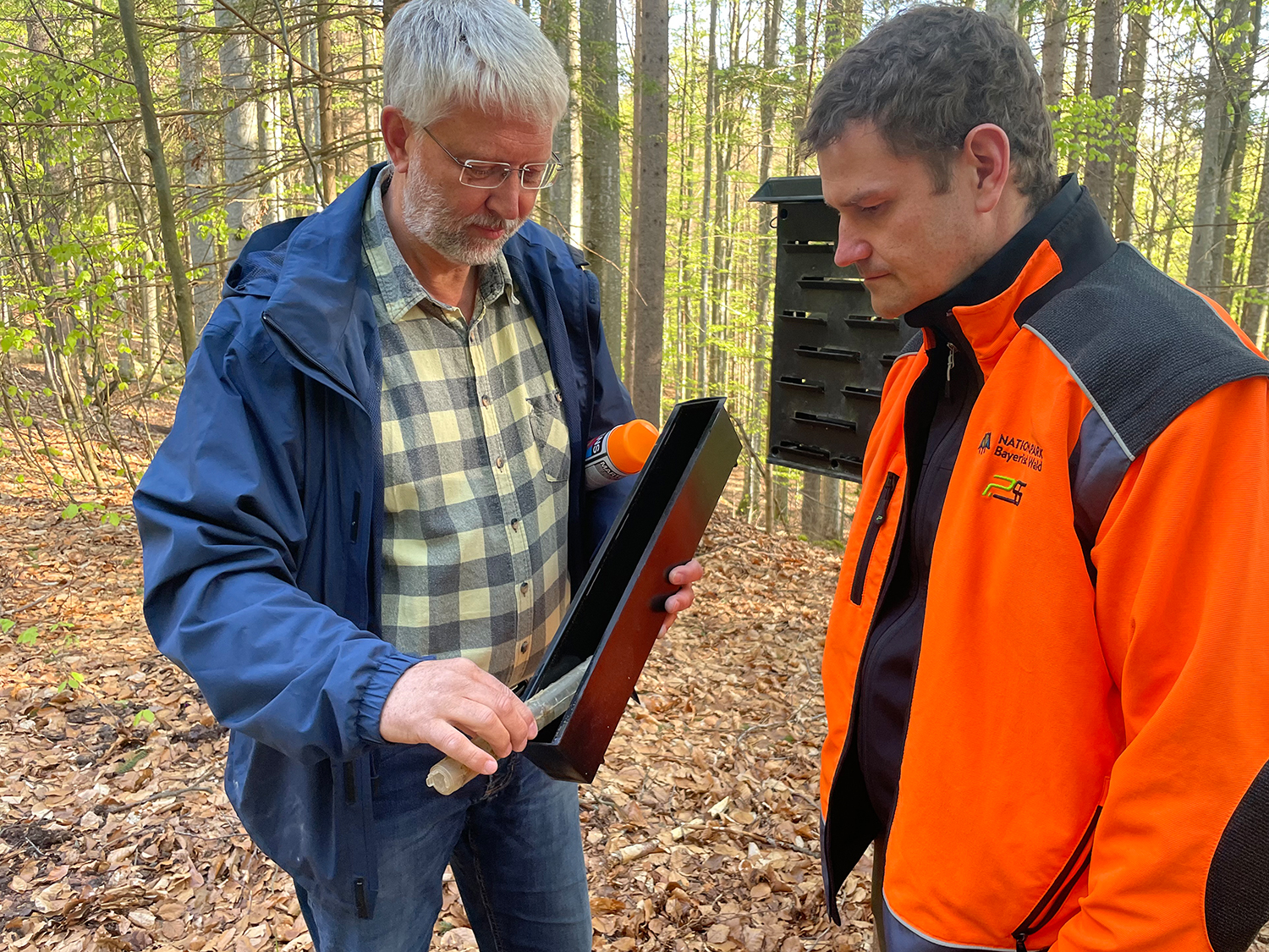 Ingo Brauer, Leiter der Nationalparkdienststelle Scheuereck (l.), und Martin Scholz, stellvertretender Leiter des Sachgebietes Wald- und Flächenmanagement, bei der Kontrolle einer Käferfalle.(Foto: Nationalpark Bayerischer Wald)