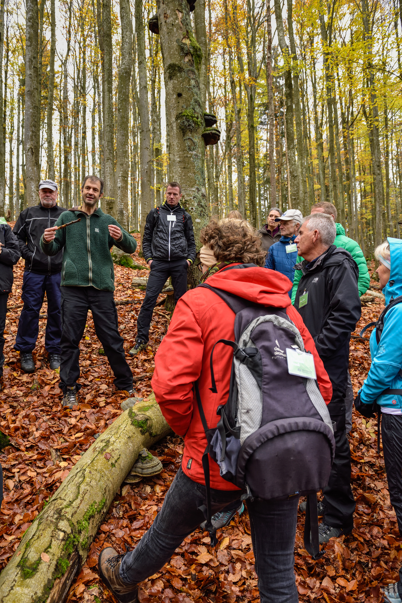 abenteuer_und_wilde_natur_1_.jpg