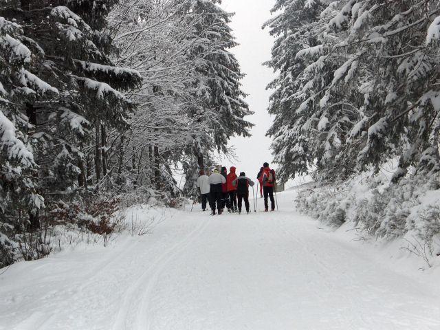 auf der Loipe am Alzenberg