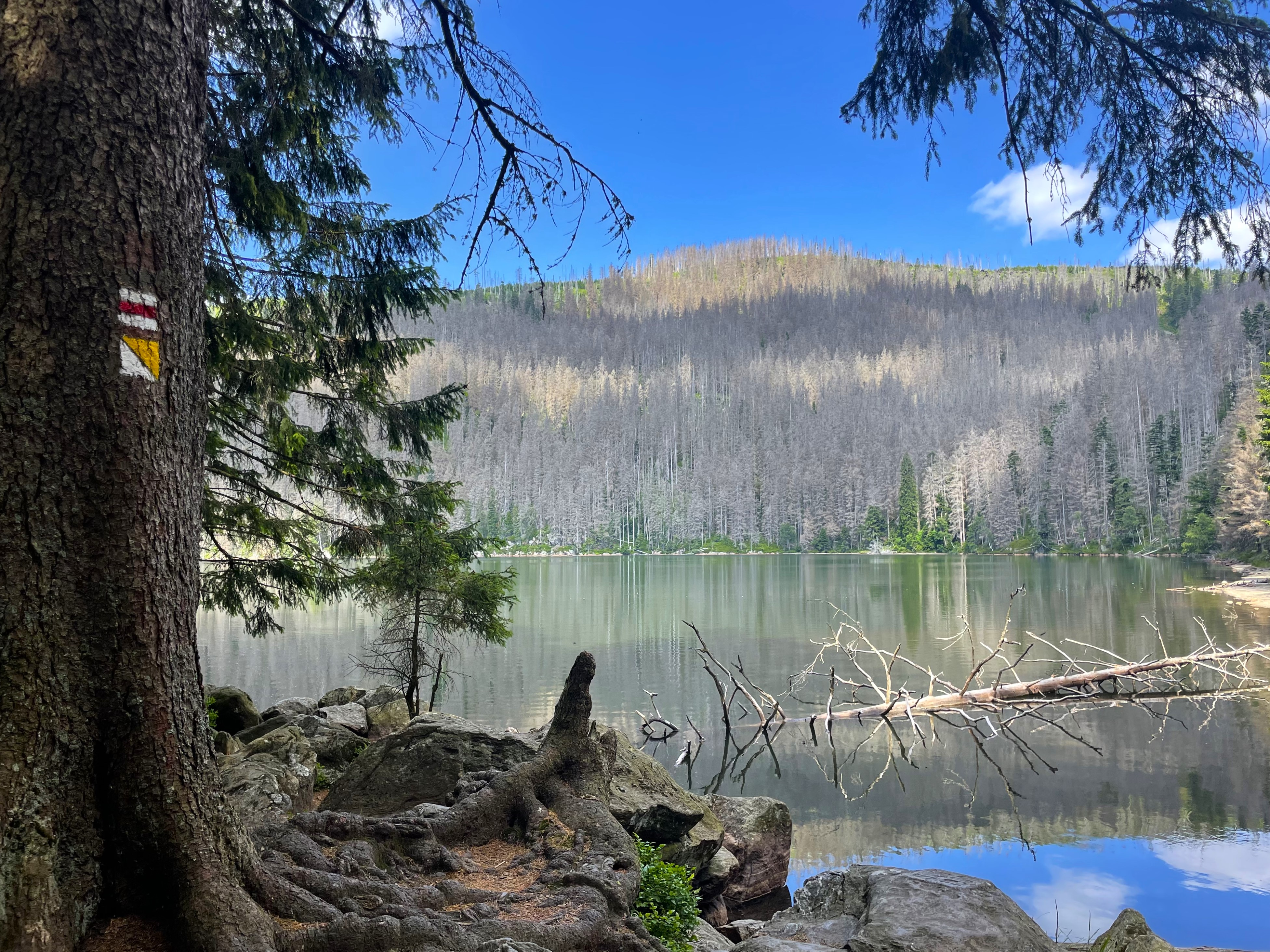 auf_den_spuren_der_glasmacher_wandern.jpg