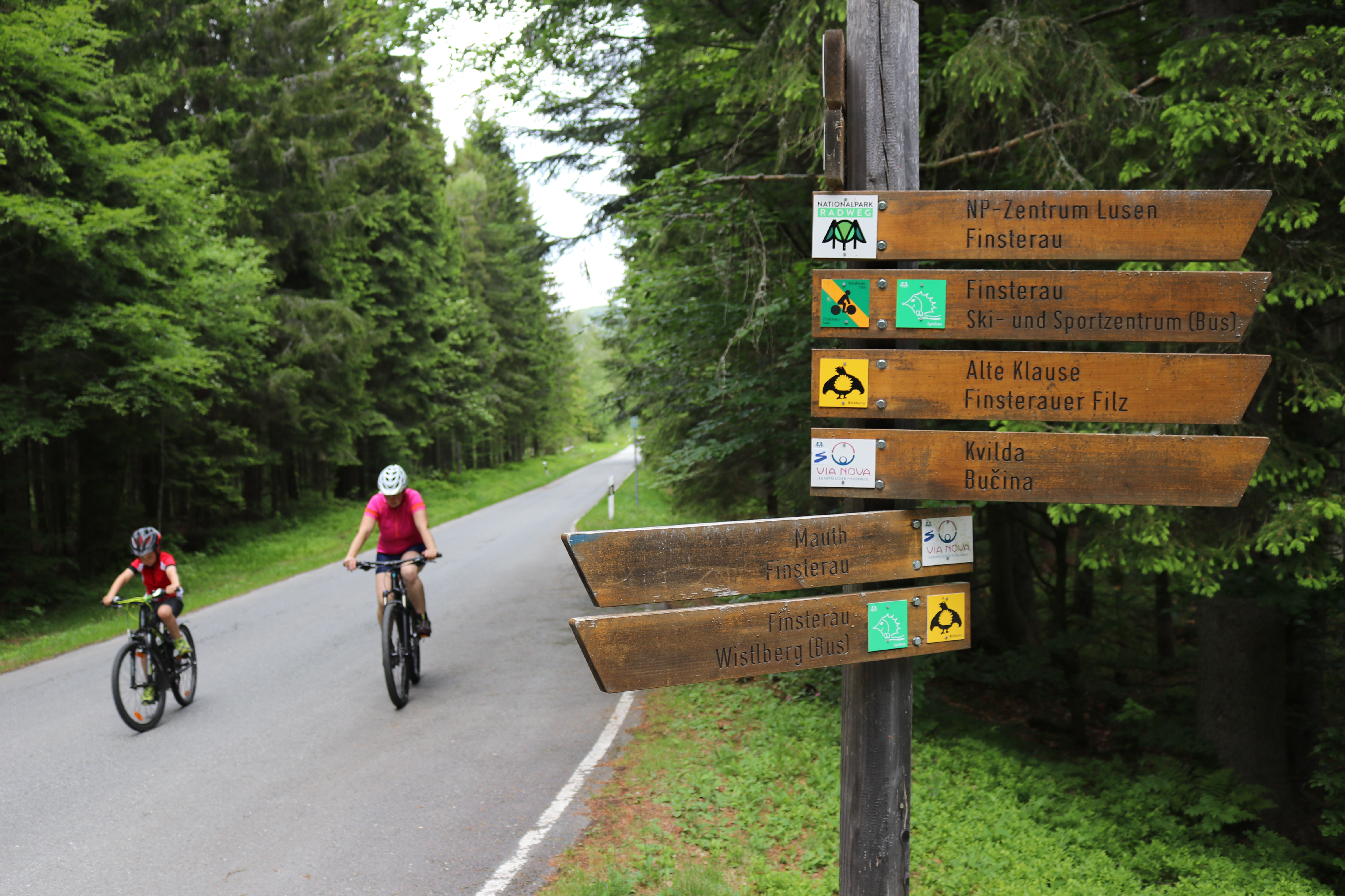 auf_radwegen_radeln.jpg