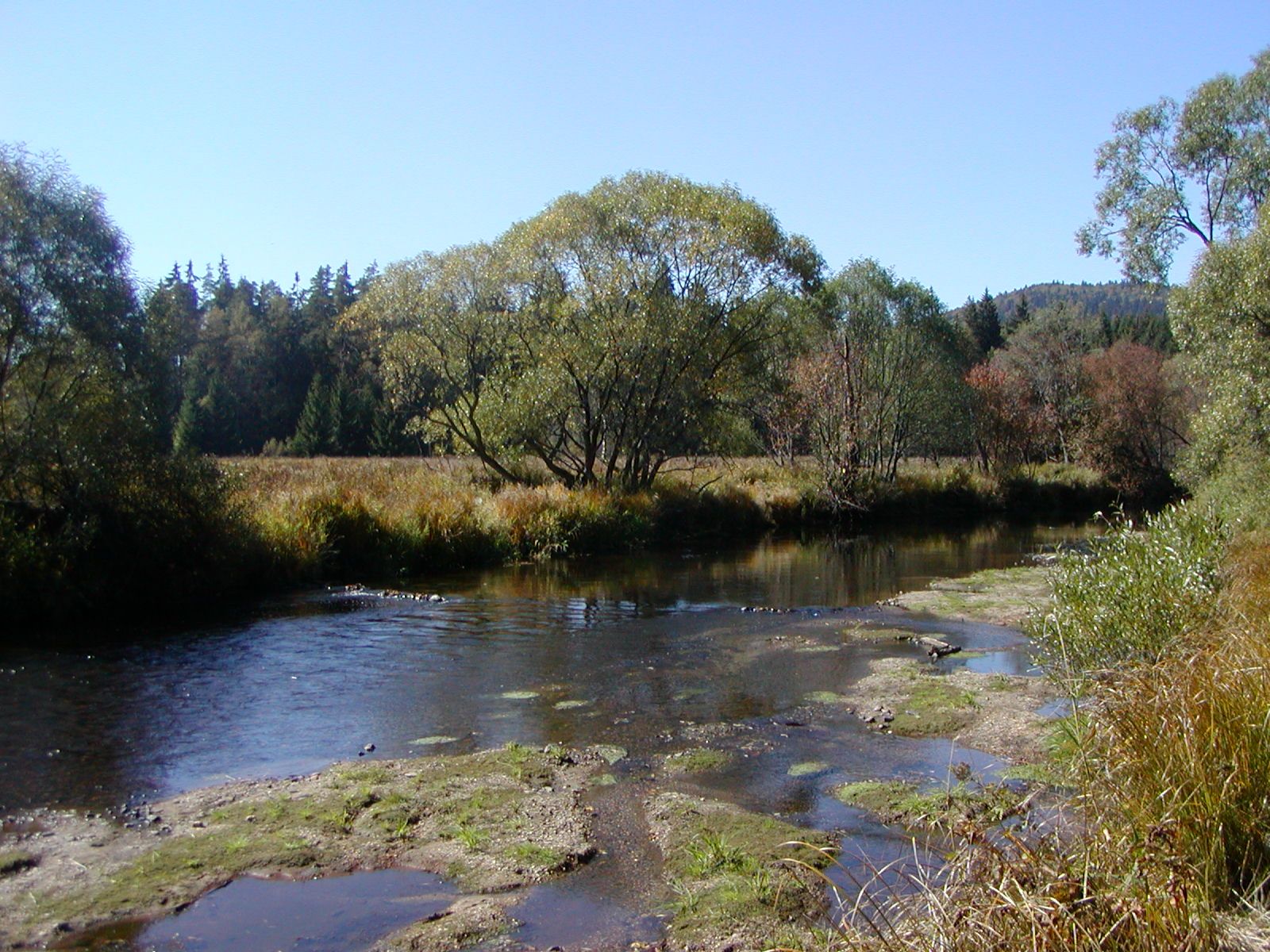 die Moldau im Böhmerwald