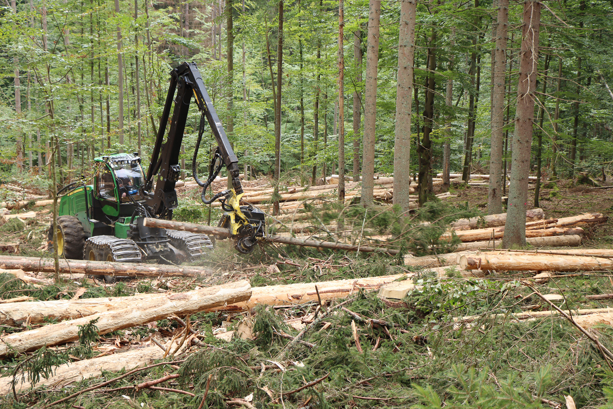 Im Nationalpark-Randbereich kommen aktuell vier Debarking Harvester zum Einsatz, die Fichten nicht nur umschneiden, sondern im selben Schritt auch gleich entrinden. (Foto: Nationalpark Bayerischer Wald)
