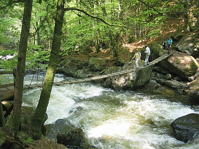 buchbergerleitehaengebruecke.jpg