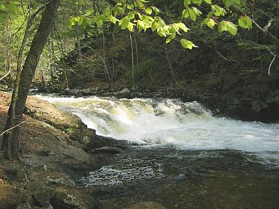 buchbleitewasserfall.jpg