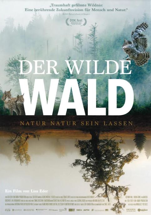 der_wilde_wald.jpg