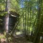 erlau_wanderweg4.jpg
