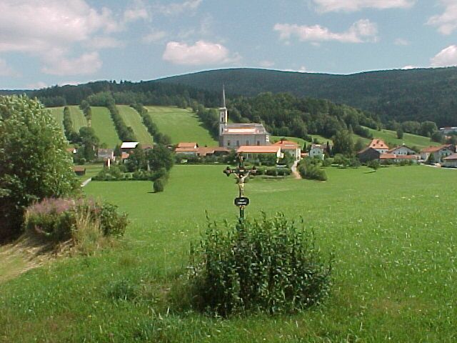 Grainet