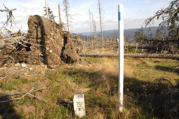 grenzsteig_bei_stein_10-2_lackaberg-gsenget.jpg