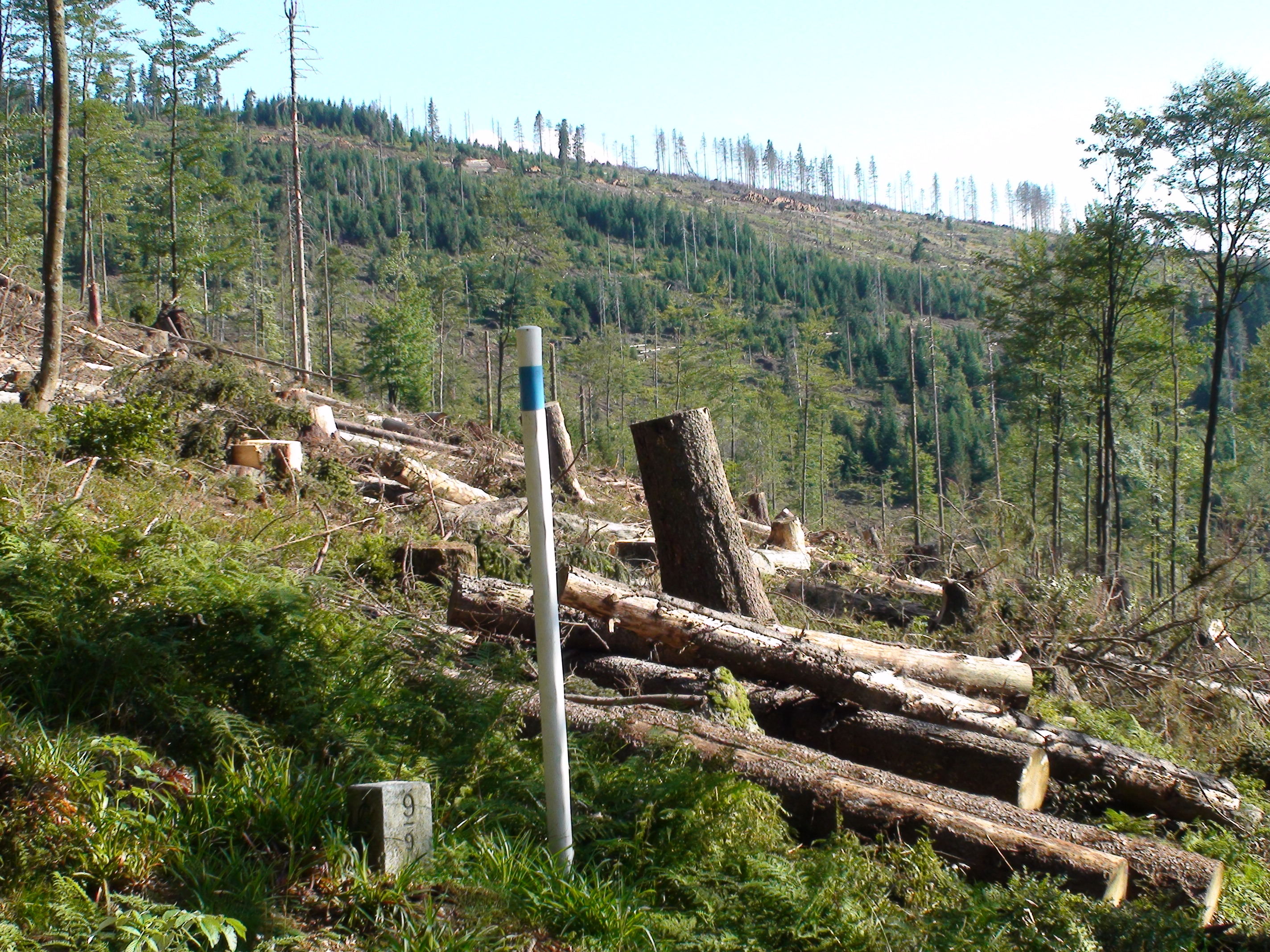 der Weg nach Sumava bei Grenzstein 9-9 in der Nähe vom Lackaberg