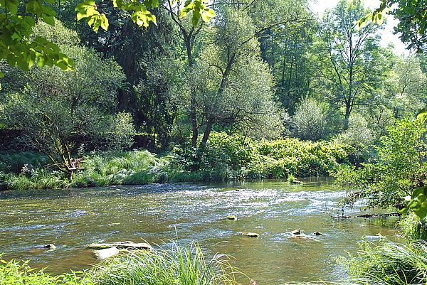 Wildfluss Ilz