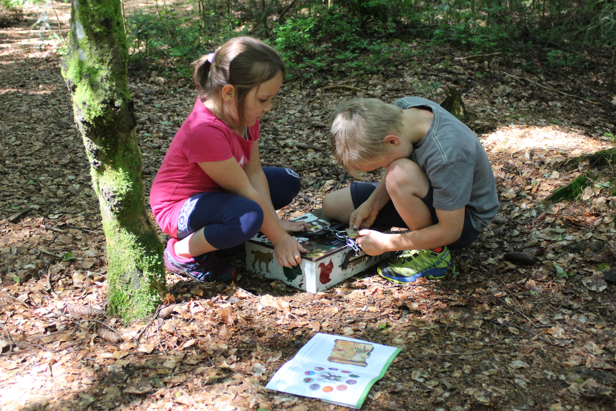 im_waldspielgelaende.jpg