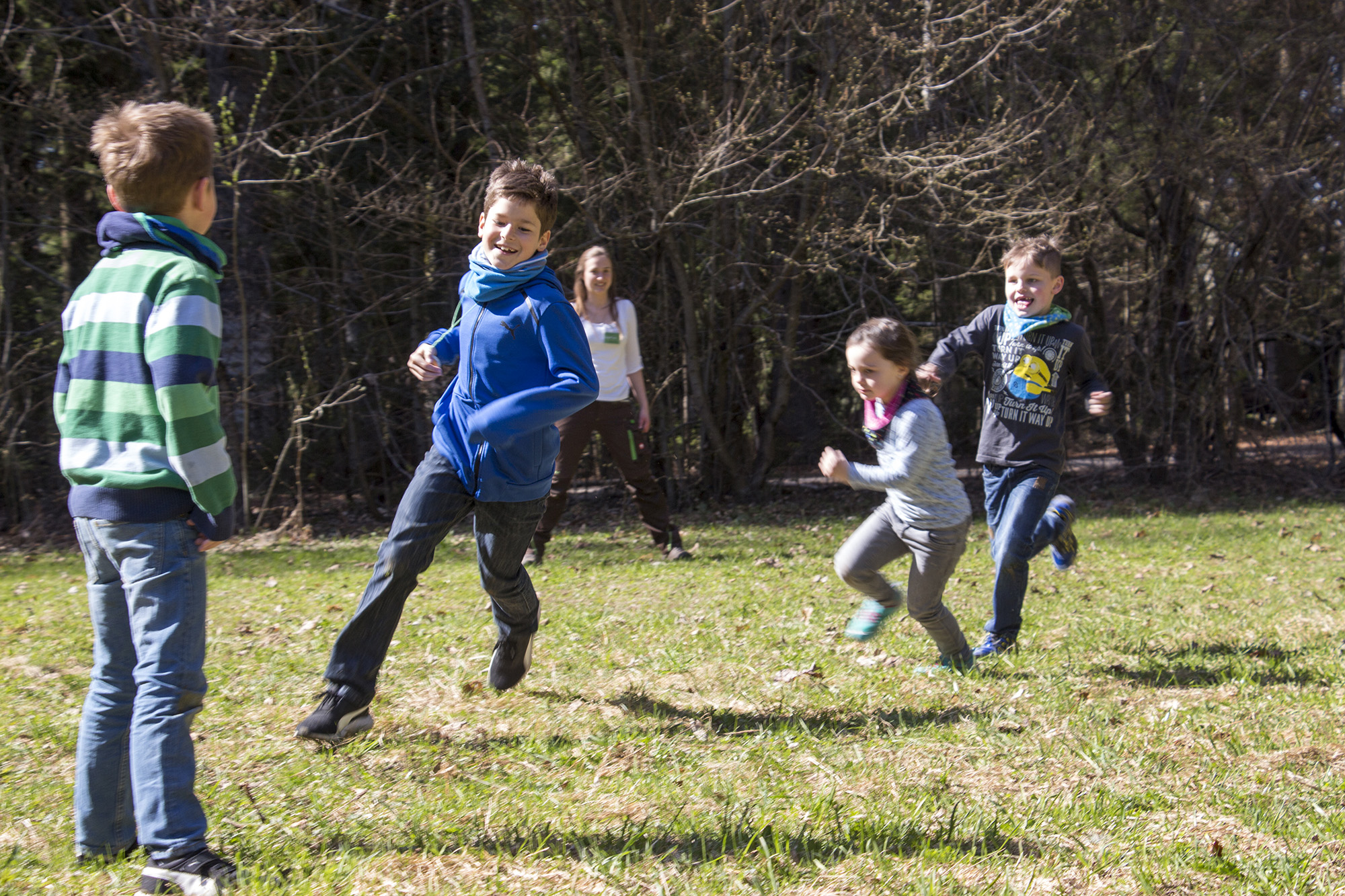 in_den_osterferien_geht_s_in_den_wilden_wald.jpg