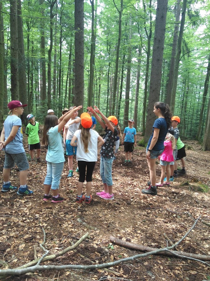 in_den_sommerferien_raus_in_den_wilden_wald.jpg