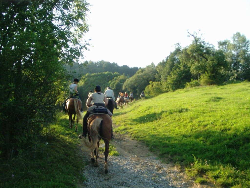 Wanderreiten im Bayerischen Wald