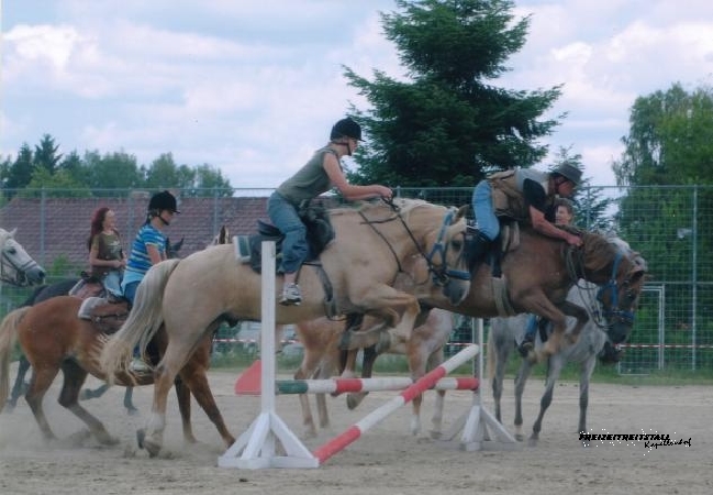 Springreiten am Kapellenhof