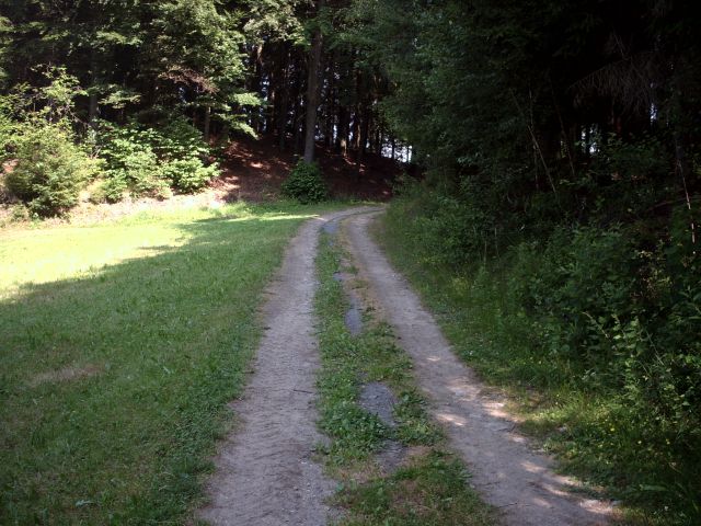 Wanderweg bei der Kleblmuehle