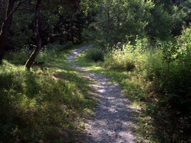 An der Kleinen Ohe