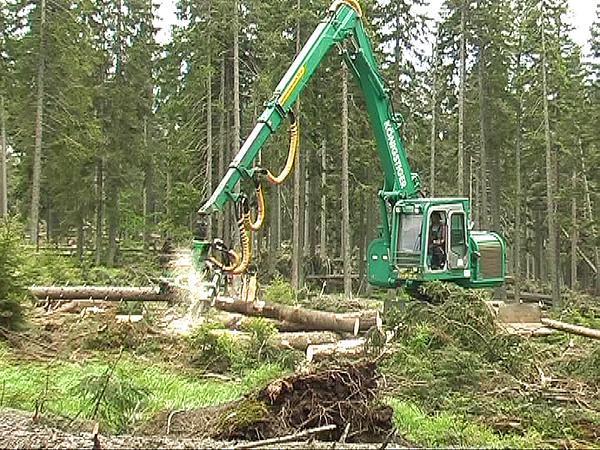 koenigstiger2.jpg