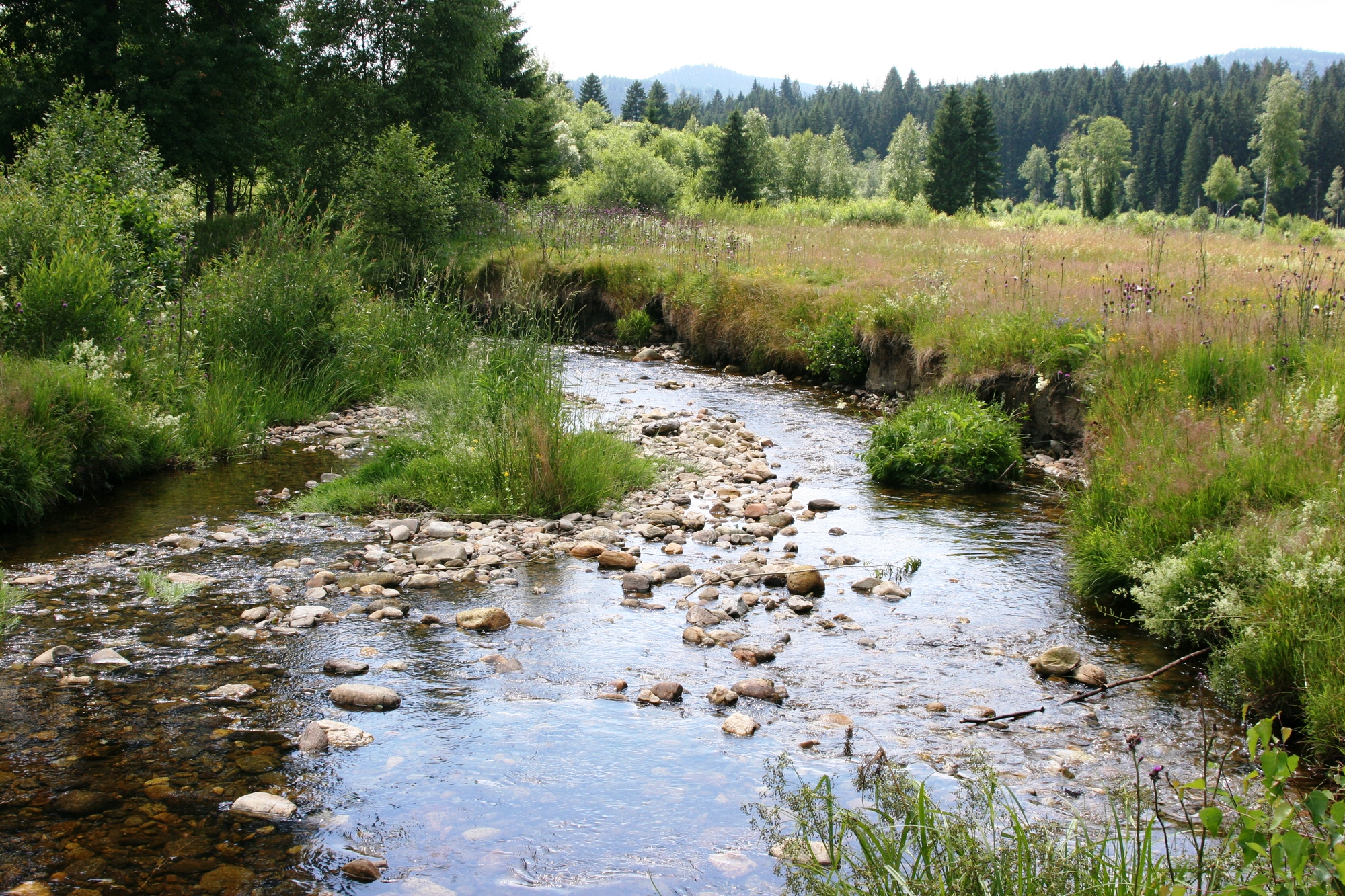 kolbersbach_30_09.jpg