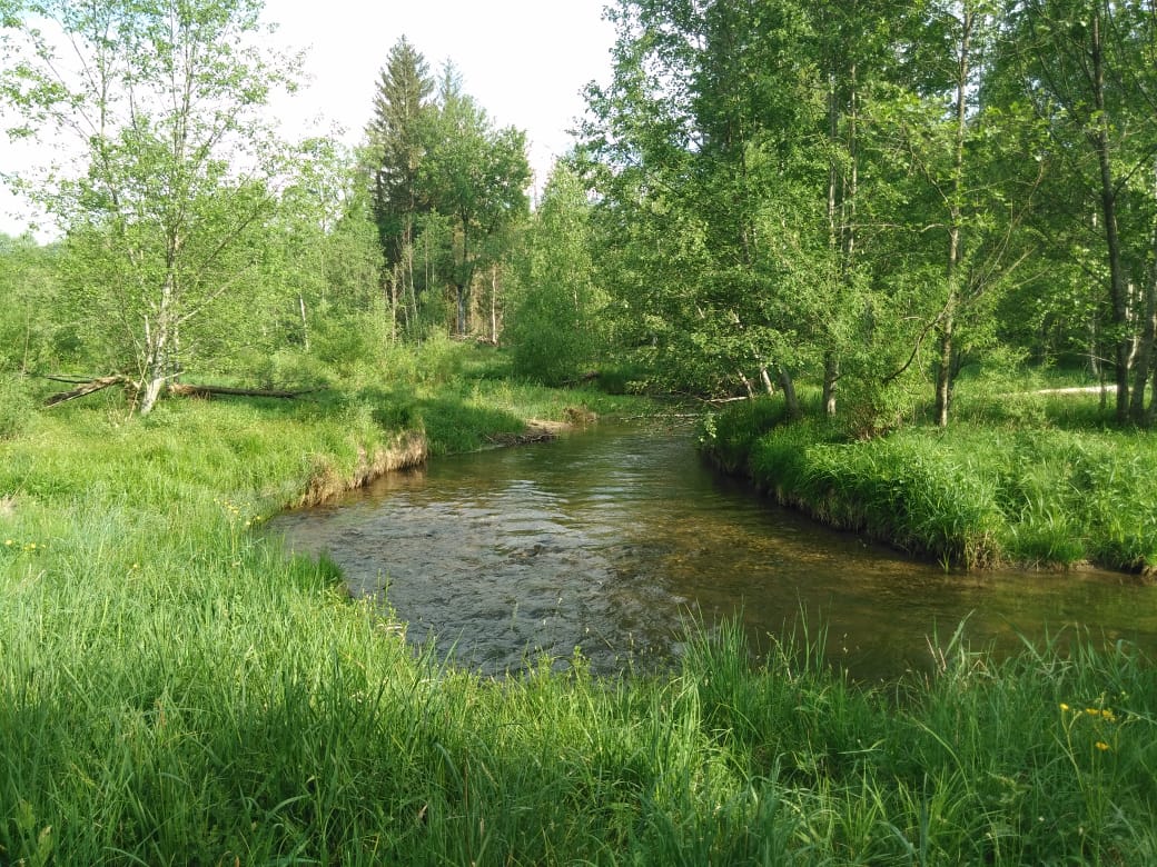 kolbersbach_erleben.jpg