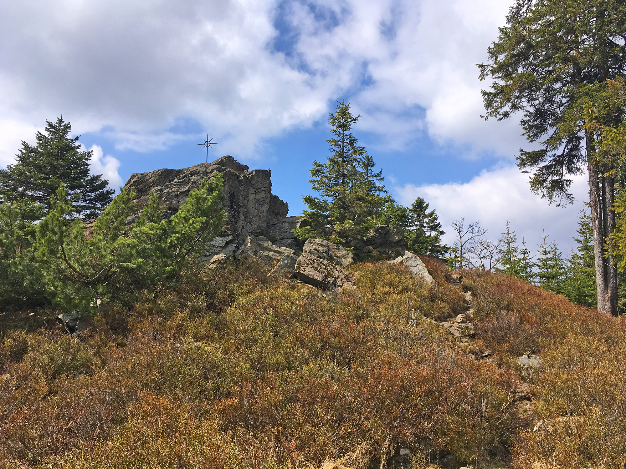 krimiwanderung_durch_den_nationalpark.jpg