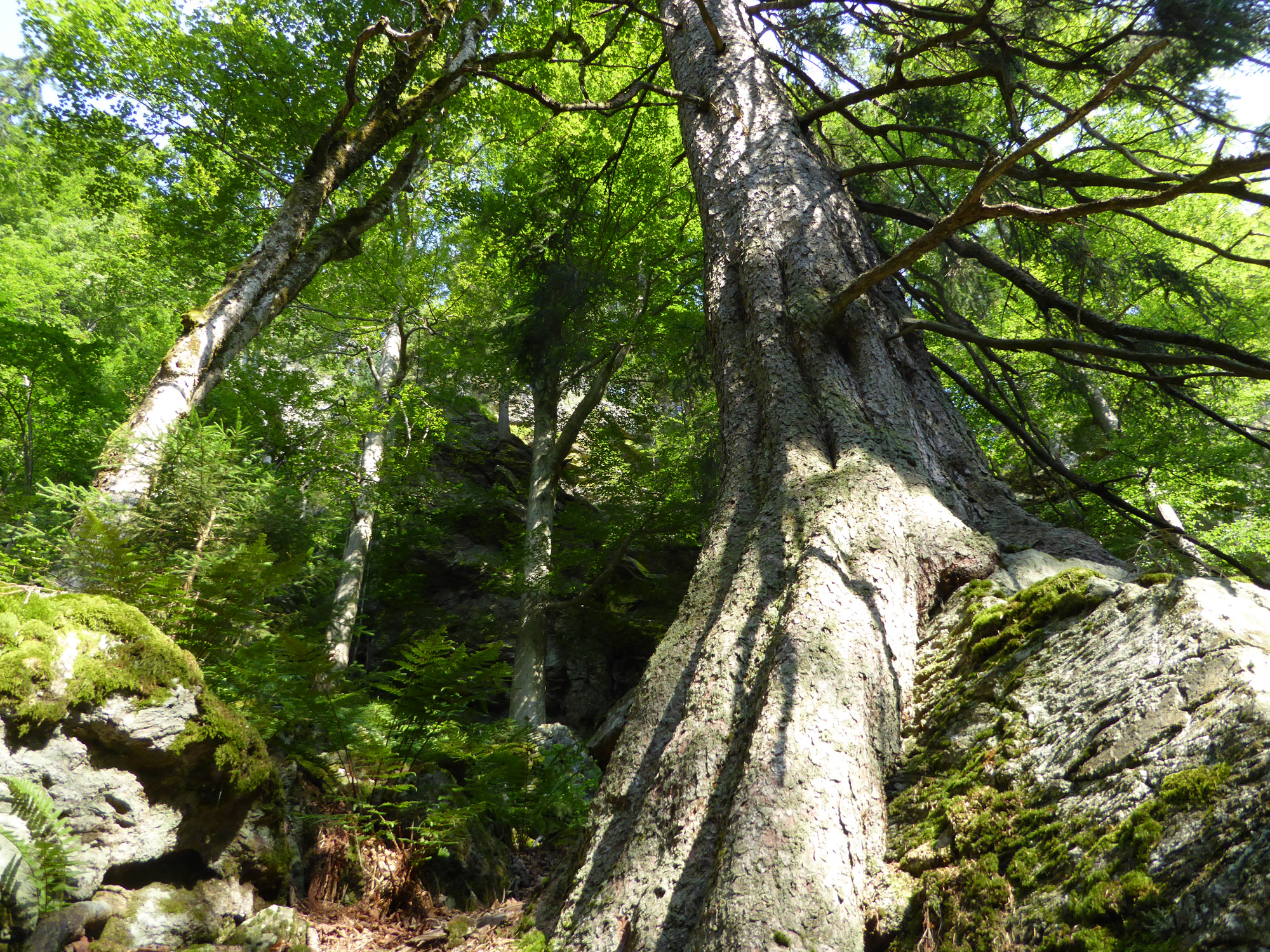 krimiwanderung_gabi_kreuzer.jpg