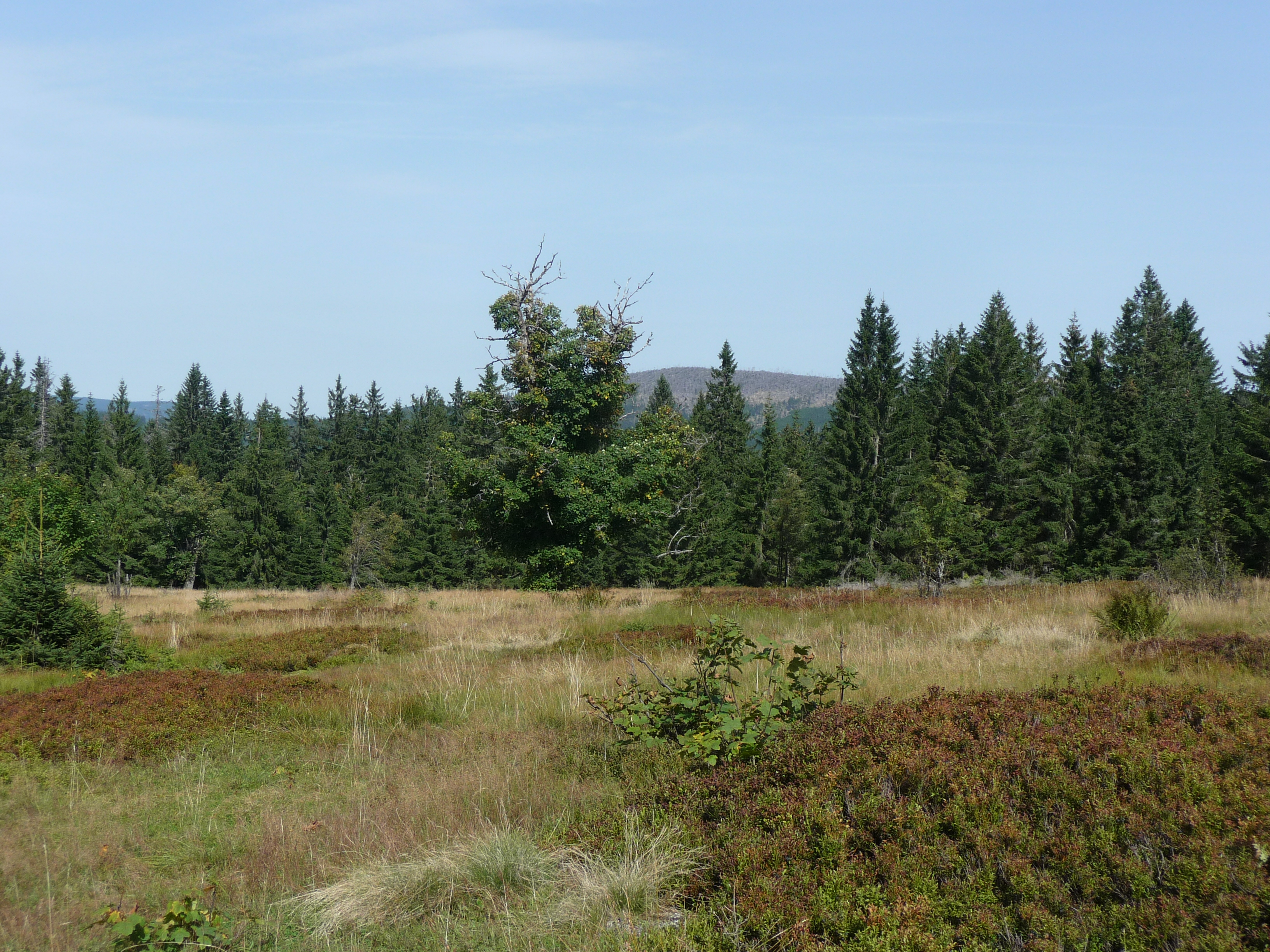 Lackenberg