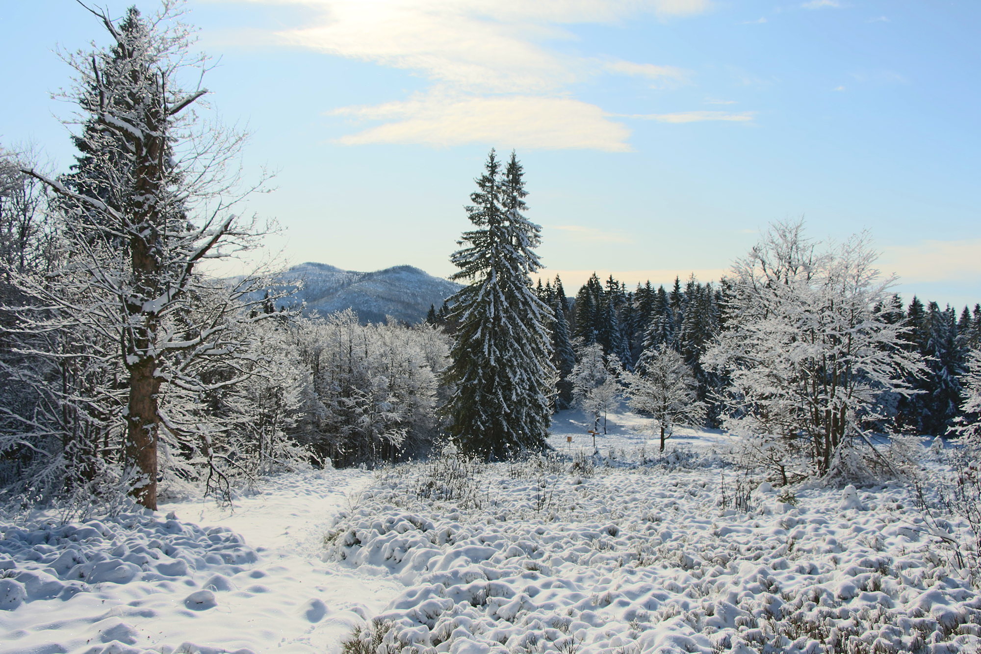 lindbergerschachten_im_winter.jpg