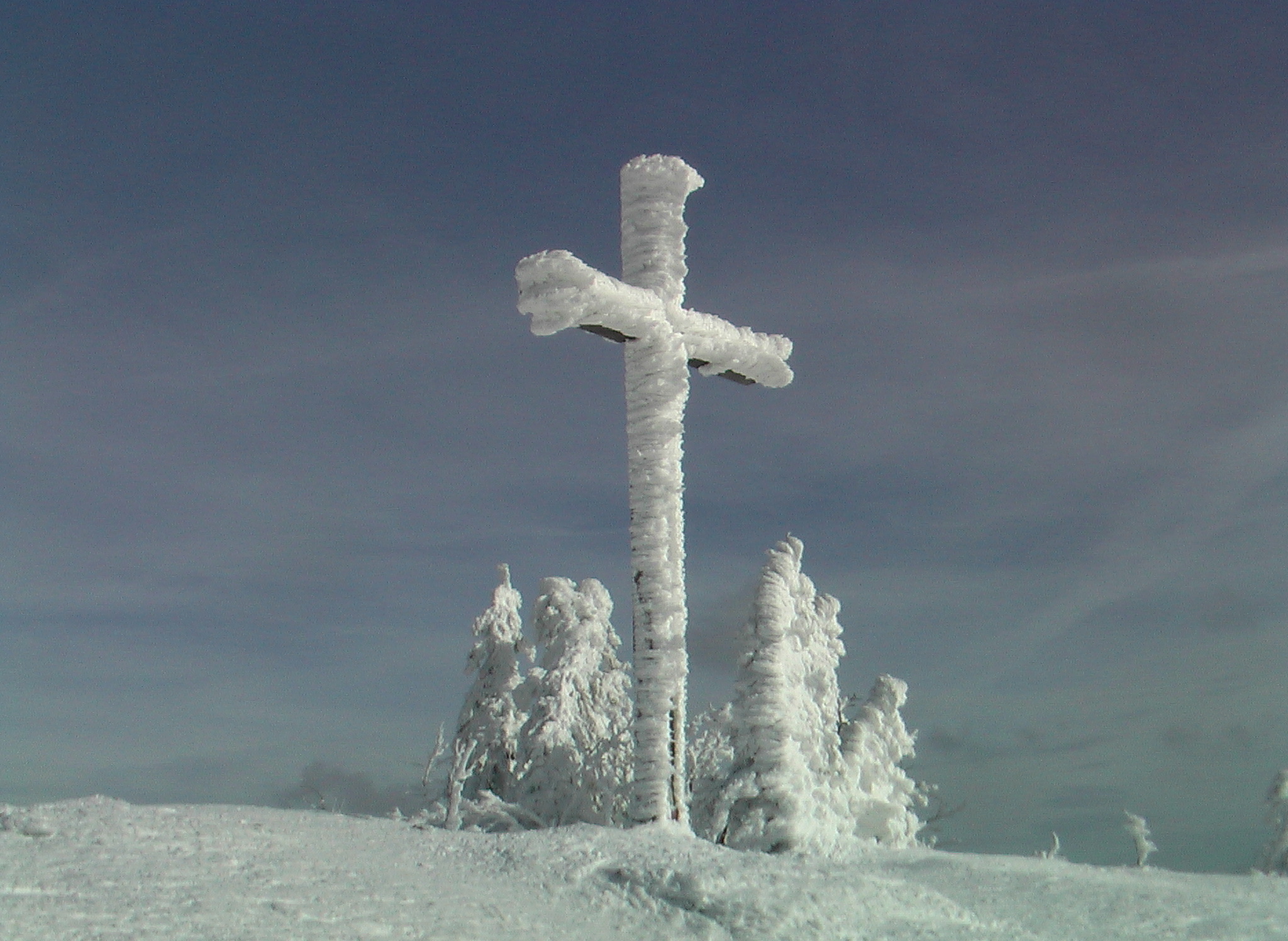 lusen_im_winter_gipfelkreuz.jpg