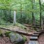 meditative_wanderung_ueber_den_seelensteig.jpg