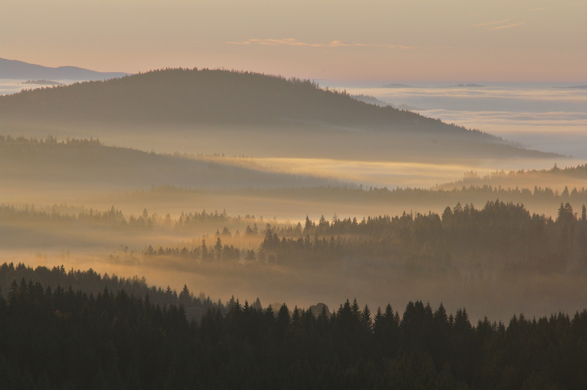 mit_dem_rad_zum_bruecklberg_im_nationalpark_sumava.jpg