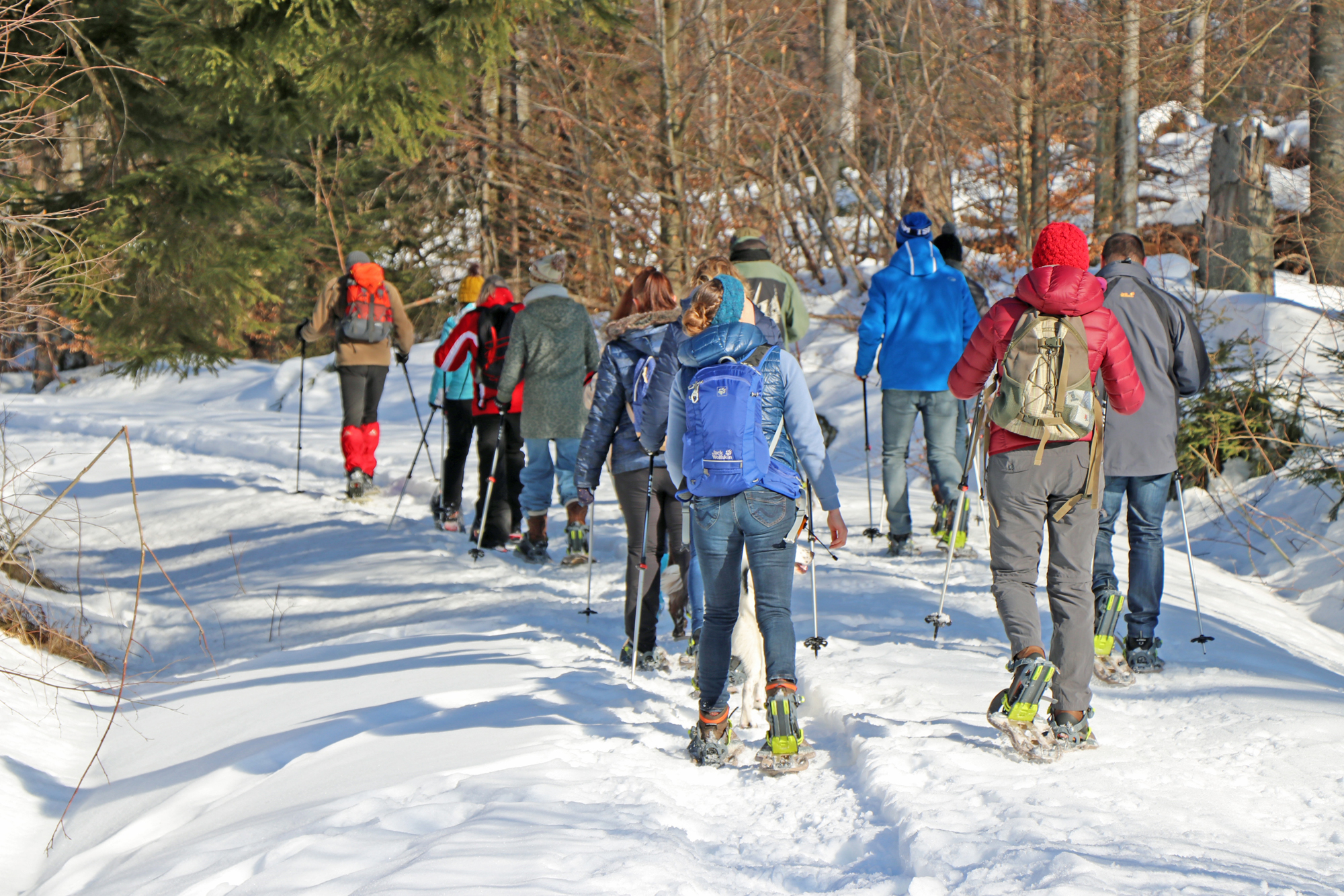 mit_schneeschuhen_auf_den_jaehrlingsschachten.jpg