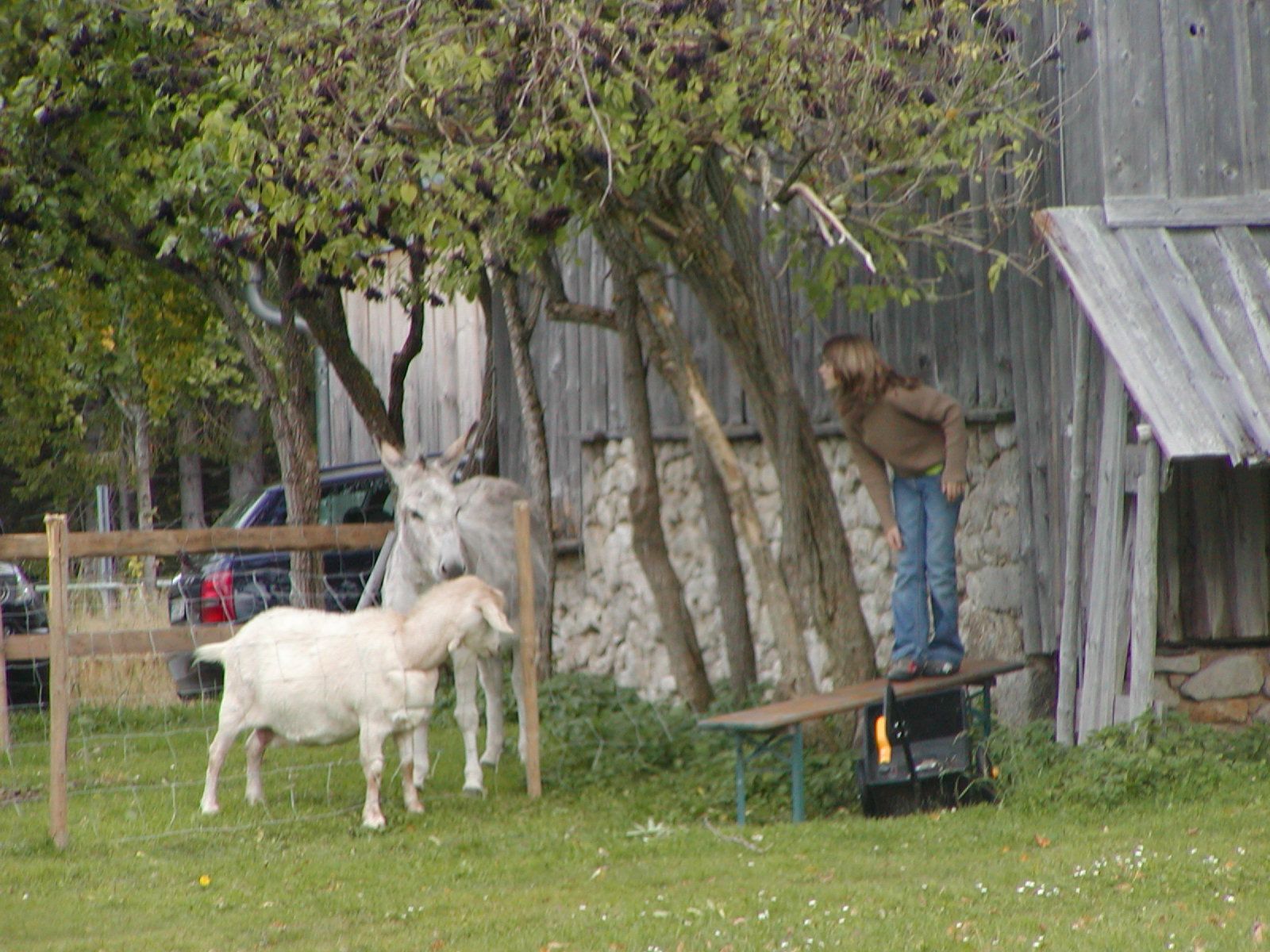 museumsdorf_impression.jpg