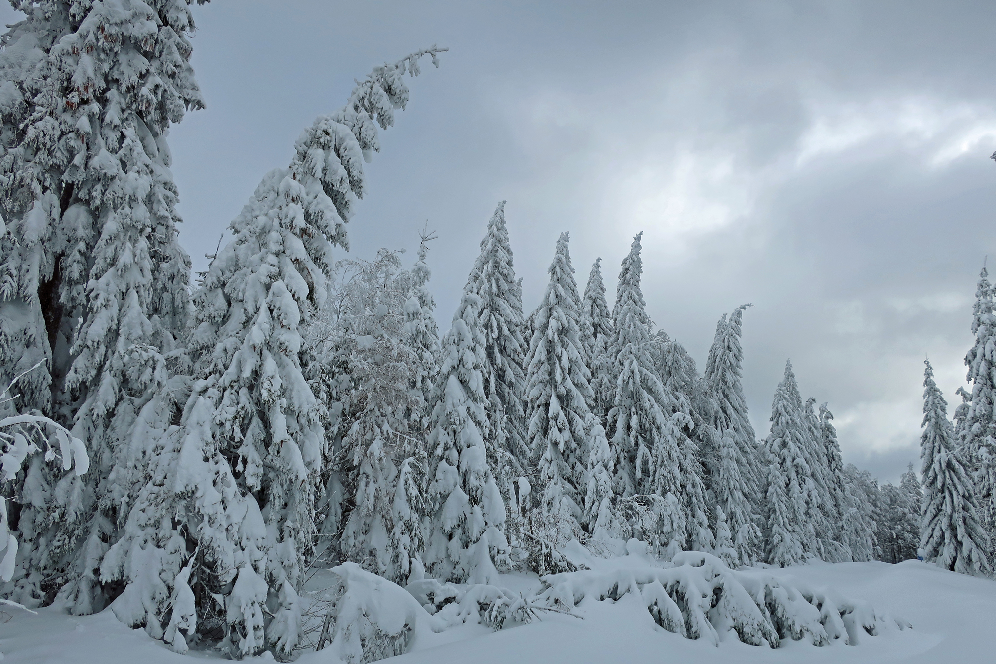 nationalpark-einrichtungen_bleiben_geschlossen_1_.jpg