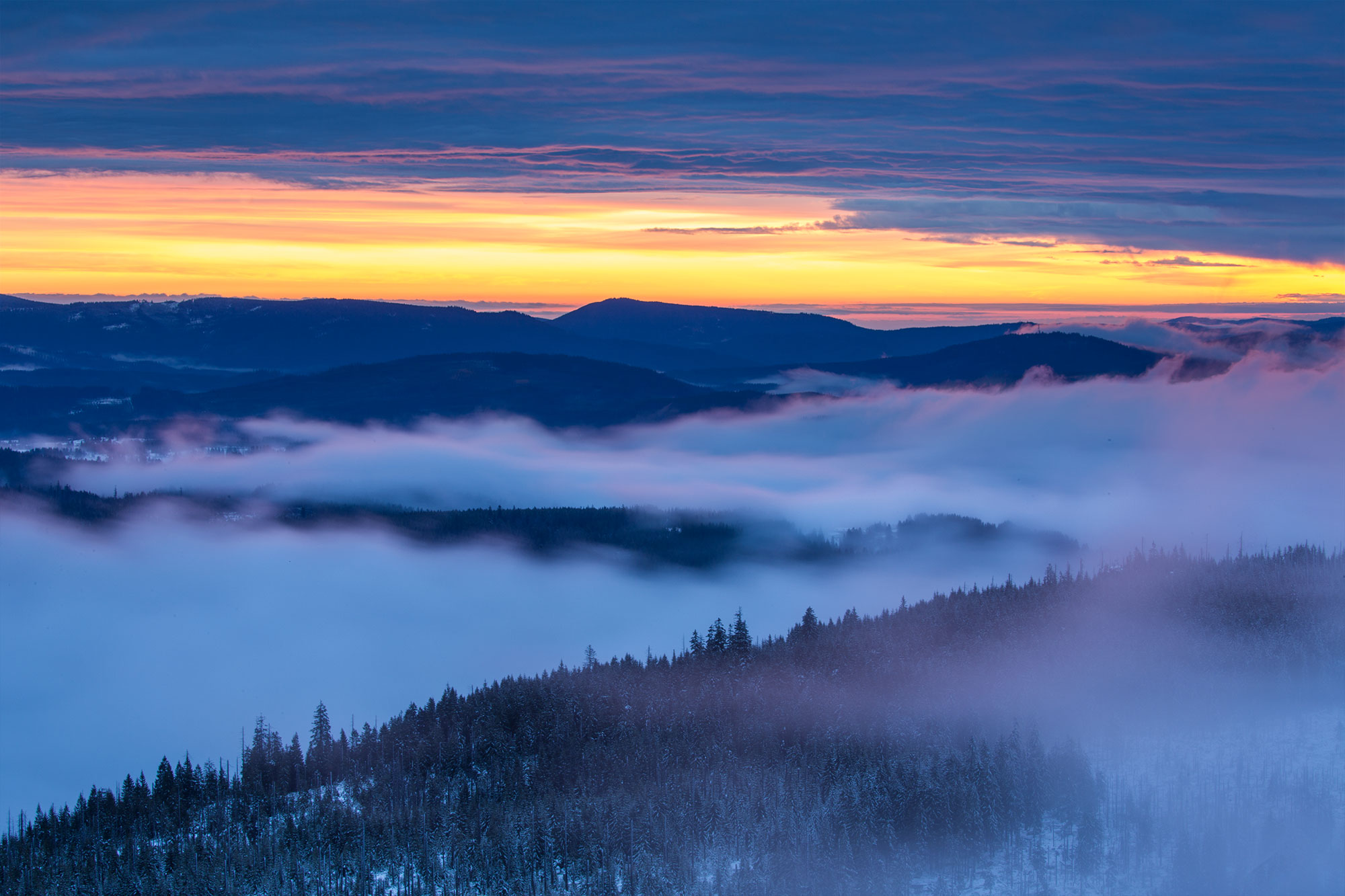 nationalpark_und_schoepfung_in_der_passionszeit.jpg