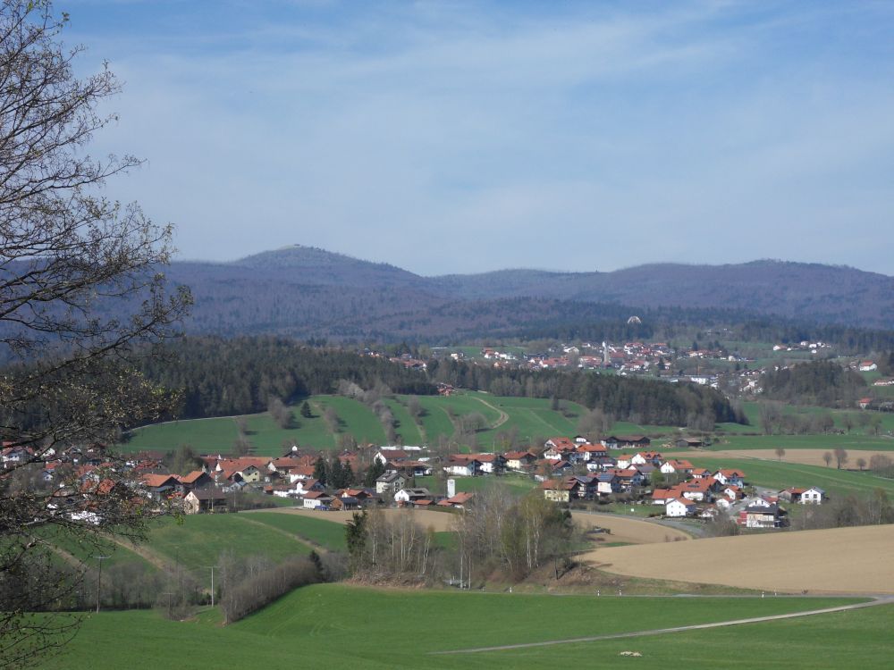 neuschoenau_mit_baum-ei_und_natpark.jpg