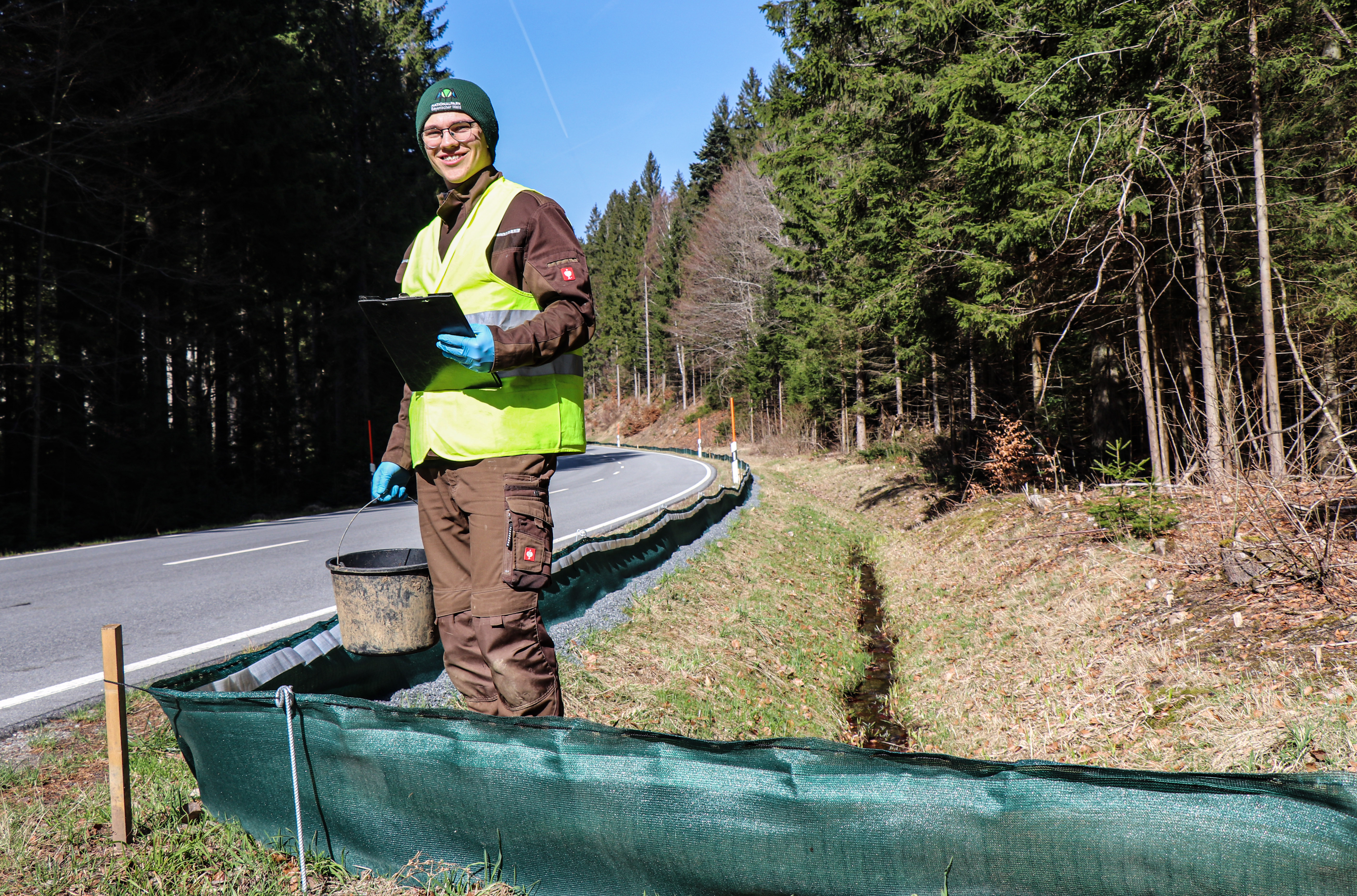 npv_bw_-_pm_17-24_kroeten_froesche_und_molche_sind_zwei_wochen_frueher_dran.jpg