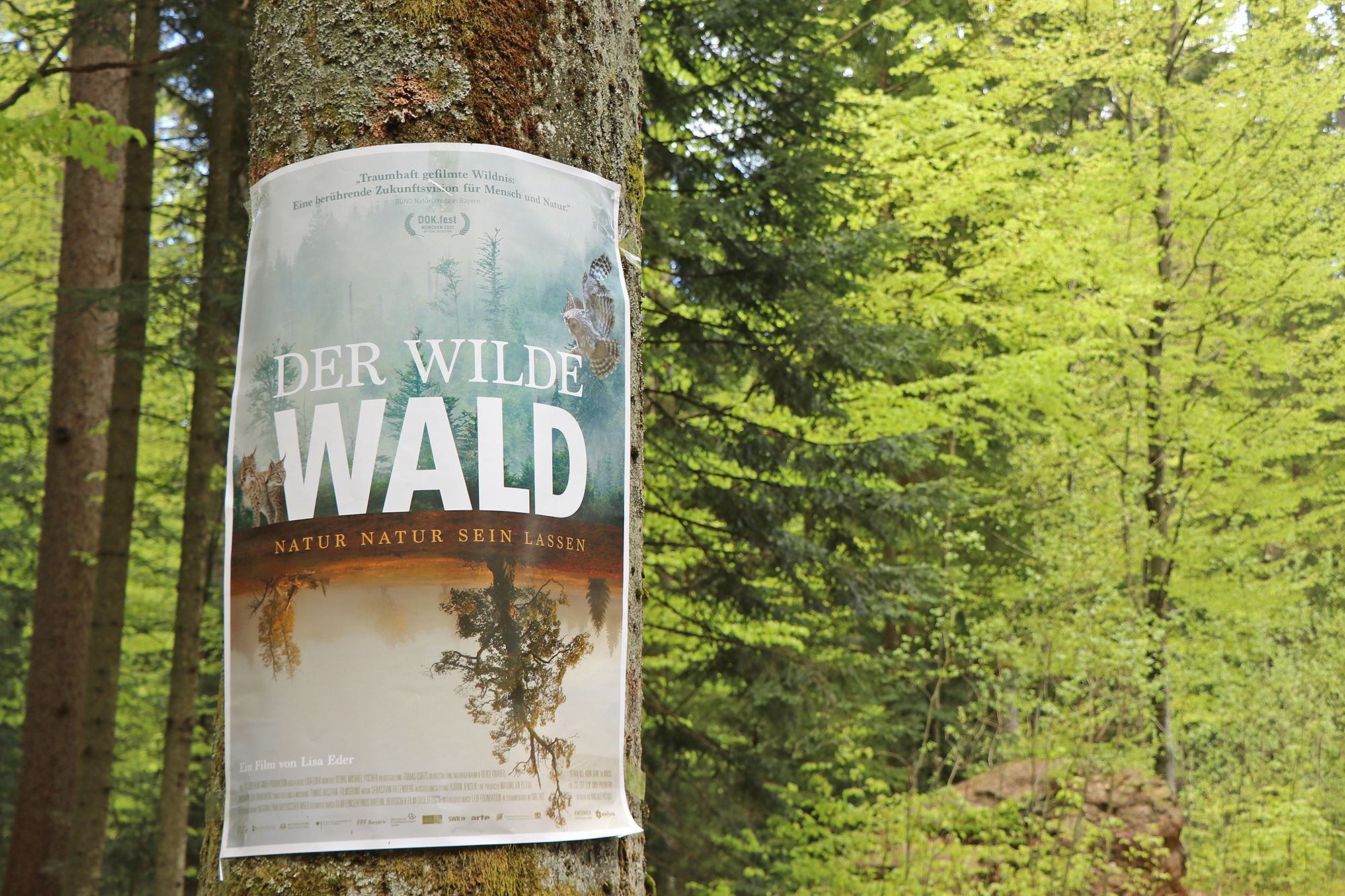 npv_bw_-_pm_21-21_der_wilde_wald_feiert_premiere.jpg