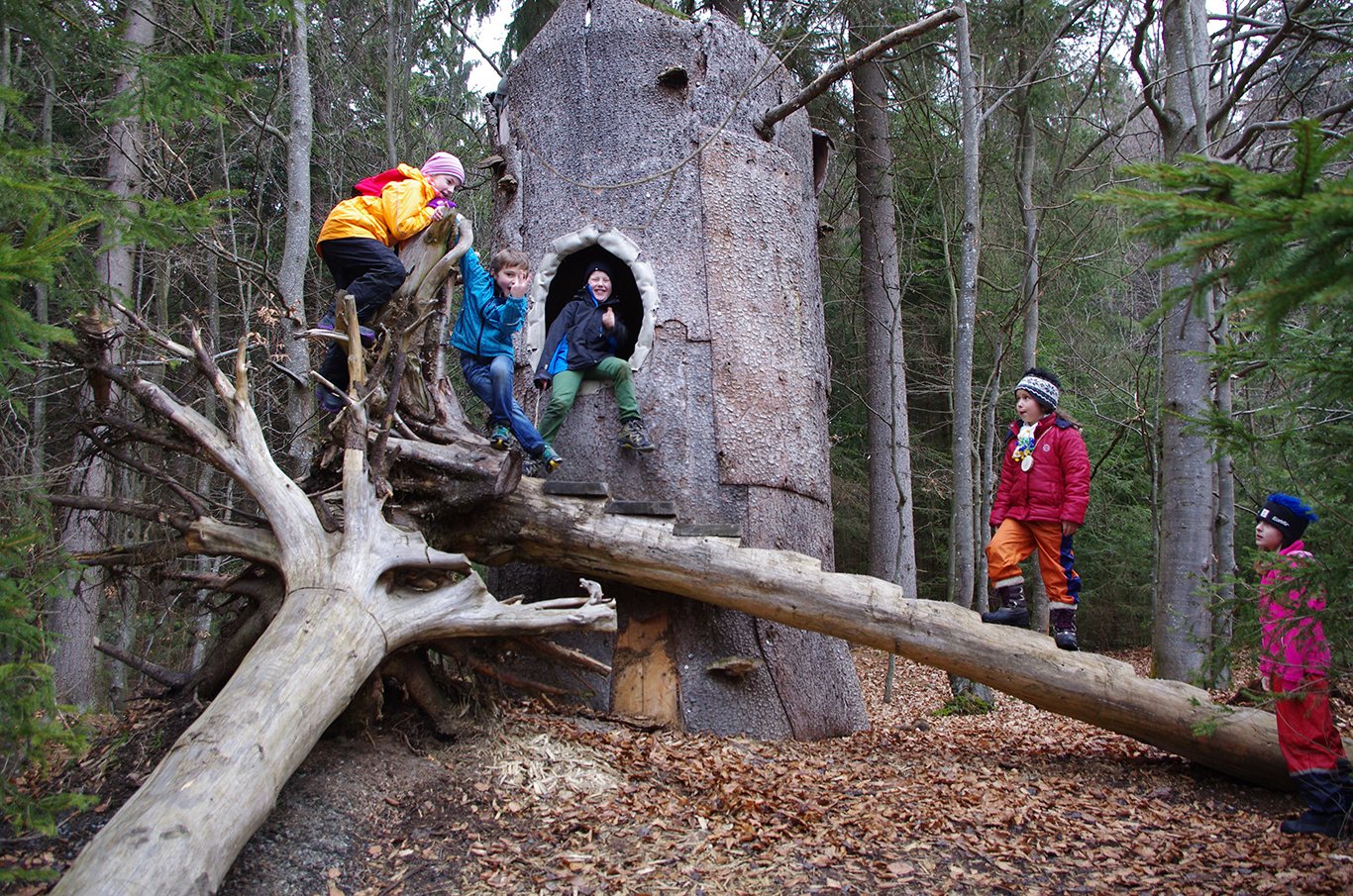 npv_bw_-_pm_32_-_19_waldspielgelaende_ist_wieder_geoeffnet.jpg