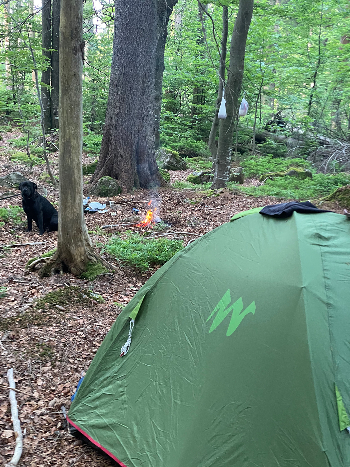 npv_bw_-_pm_34-21_immer_mehr_wildcamper_im_nationalpark_1_.jpg