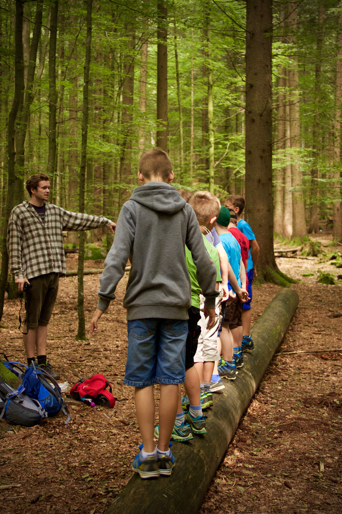 npv_bw_-_pm_88-21_nationalpark_sucht_umweltpraktikanten_fuer_2022.jpg