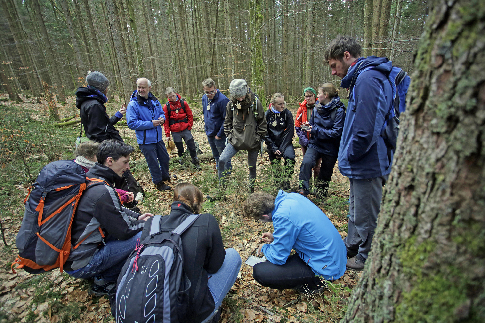 npv_bw_-_pm_91-20_jetzt_fuer_das_commerzbank-praktikum_im_nationalpark_bewerben.jpg