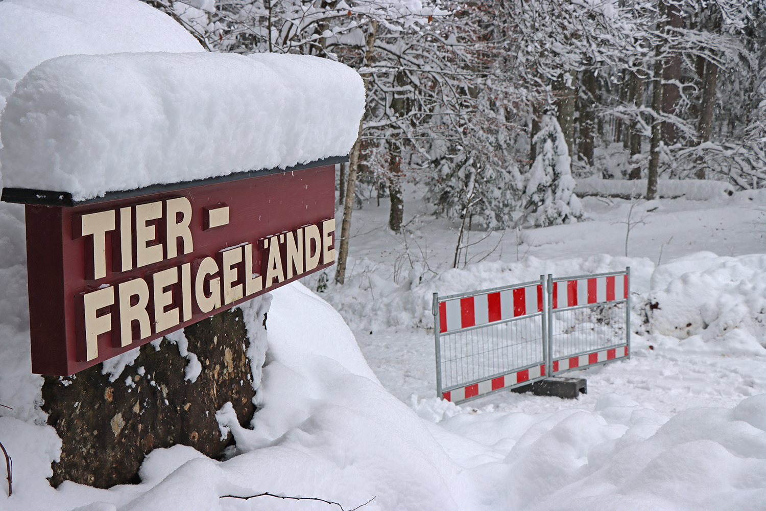 npv_bw_-_pm_94-23_schneebruchgefahr_nationalpark_sperrt_tier-freigelaende.jpg