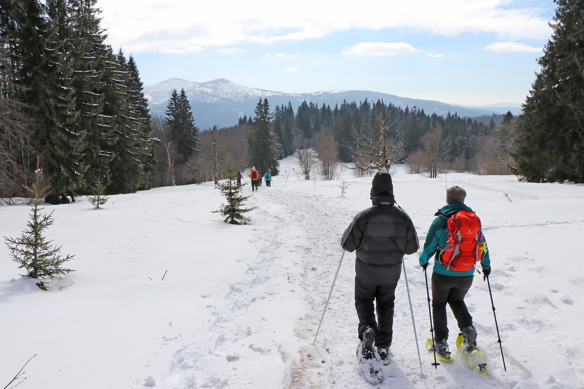 npv_bw_-_pm_98-23_nationalpark_startet_in_wintersaison.jpg