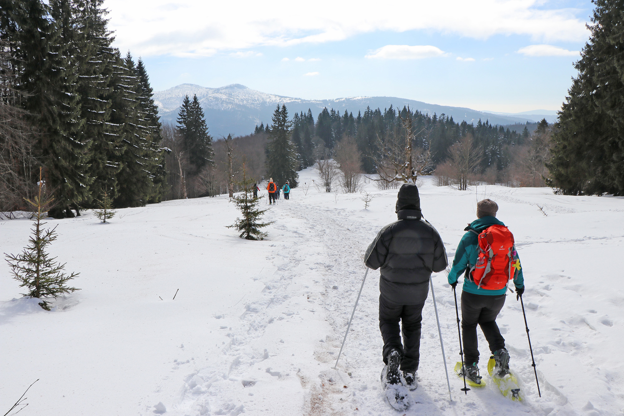 npv_bw_-_pm_98-23_nationalpark_startet_in_wintersaison.jpg