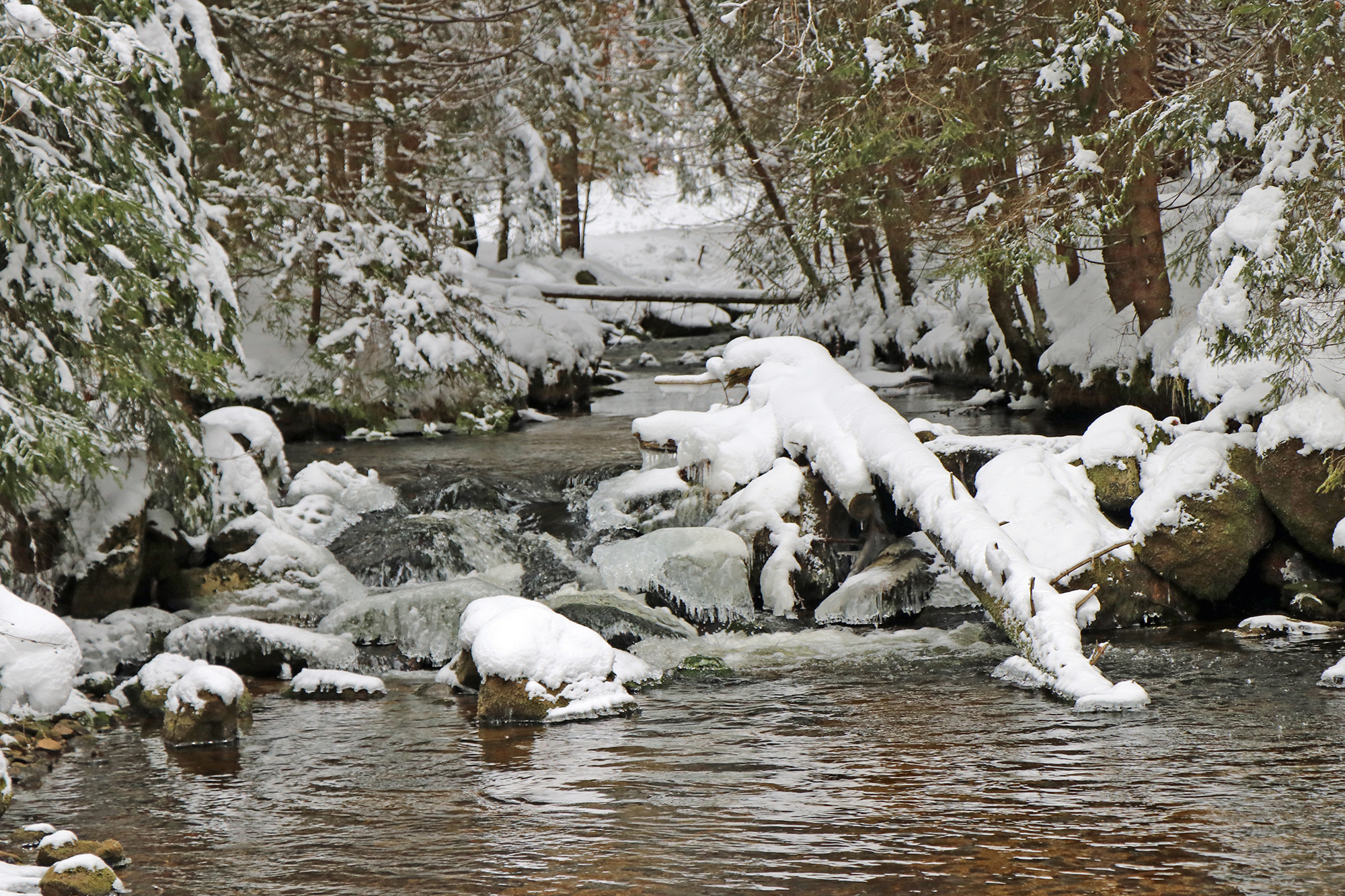 npv_bw_-_schnee_ist_mehr_als_gefrorenes_wasser.jpg