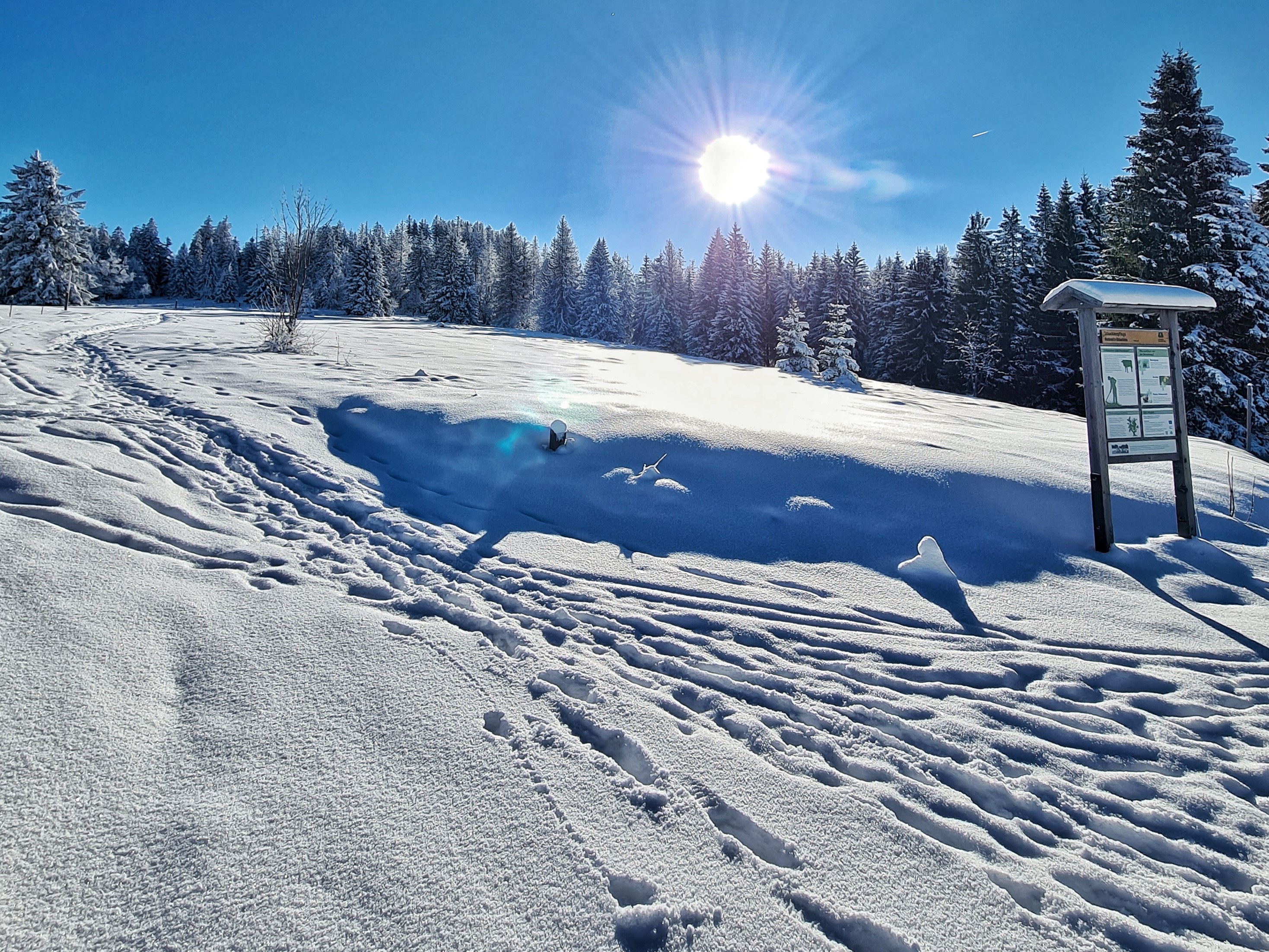 npv_bw_-_verschneite_waelder_kristallklare_luft_und_glitzernde_bergkuppen.jpeg