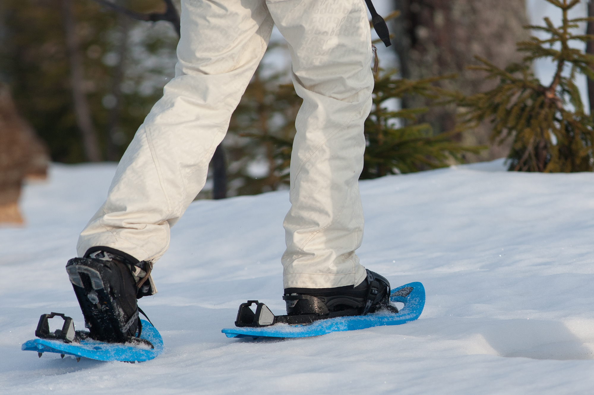 npv_bw_-_vm-19_mit_schneeschuhen_durch_wiesen_und_waelder_bei_kvilda.jpg